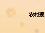 农村现在干什么赚钱