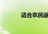 适合农民返乡创业的3个项目