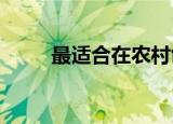 最适合在农村创业的小项目有哪些