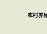 农村养殖什么比较赚钱