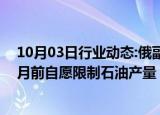 10月03日行业动态:俄副总理：“欧佩克+”成员国将在12月前自愿限制石油产量