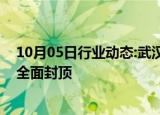 10月05日行业动态:武汉杉杉奥特莱斯项目预计明年春节前全面封顶