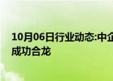 10月06日行业动态:中企承建的坦桑尼亚马古富力大桥主桥成功合龙