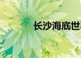 长沙海底世界门票价格多少钱