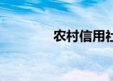 农村信用社倒闭国家补偿吗