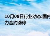 10月08日行业动态:国内商品期货收盘，原油 燃料油期货主力合约涨停