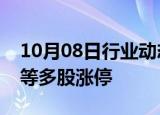 10月08日行业动态:房地产板块走强，万科A等多股涨停