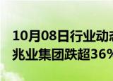 10月08日行业动态:港股内房股持续下跌，佳兆业集团跌超36%