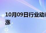 10月09日行业动态:富时中国A50指数期货转涨