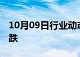 10月09日行业动态:国内期货夜盘开盘多数下跌