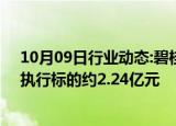 10月09日行业动态:碧桂园地产等新增一条被执行人信息，执行标的约2.24亿元