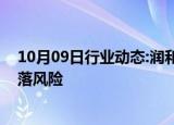 10月09日行业动态:润和软件：公司股票存在大幅上涨后回落风险