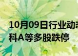 10月09日行业动态:房地产板块持续下挫，万科A等多股跌停