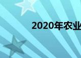 2020年农业银行定期存款利率