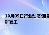 10月09日行业动态:宝泰隆：子公司宝泰隆矿业公司宝忠煤矿复工