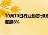 10月10日行业动态:煤炭开采加工板块震荡拉升，新集能源涨超8%