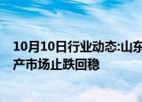 10月10日行业动态:山东出台“楼市19条”，促进全省房地产市场止跌回稳