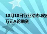 10月10日行业动态:皮皮虾科技旗下品牌“贰维码”获800万元A轮融资