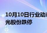 10月10日行业动态:房地产板块跌幅扩大，阳光股份跌停