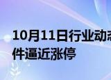 10月11日行业动态:多只高位股反弹，润和软件逼近涨停