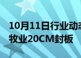 10月11日行业动态:乳业板块快速拉升，西部牧业20CM封板