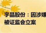 宇晶股份：因涉嫌内幕交易，副总经理朱浩宇被证监会立案