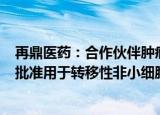 再鼎医药：合作伙伴肿瘤电场治疗Optune Lua获美国FDA批准用于转移性非小细胞肺癌治疗