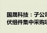 国晟科技：子公司中标3.93亿元中国华电光伏组件集中采购项目