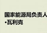 国家能源局负责人会见国际能源署副署长玛丽·瓦利克