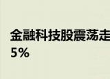 金融科技股震荡走高，银之杰 长亮科技涨超15%