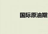 国际原油期货结算价小幅收跌