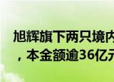 旭辉旗下两只境内债券寻求增加9个月宽限期，本金额逾36亿元