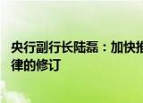 央行副行长陆磊：加快推进中国人民银行法 金融稳定法等法律的修订