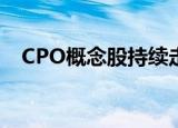 CPO概念股持续走强，威尔高20CM涨停