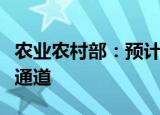 农业农村部：预计蔬菜价格将转入季节性下行通道