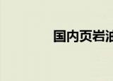 国内页岩油单井日产创新高