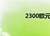 2300欧元等于多少人民币