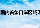 国内首条口岸区域无人机配送航线在深圳开航