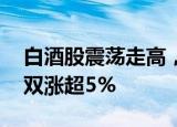 白酒股震荡走高，迎驾贡酒 古井贡酒午后双双涨超5%