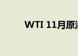 WTI 11月原油期货收涨1.53美元