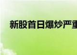 新股首日爆炒严重，追高持有者损失巨大