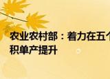 农业农村部：着力在五个方面下功夫持续推进粮油作物大面积单产提升