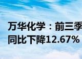 万华化学：前三季度归母净利润110.93亿元，同比下降12.67%