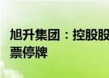 旭升集团：控股股东筹划控制权变更，公司股票停牌