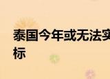 泰国今年或无法实现3万亿泰铢的旅游收入目标