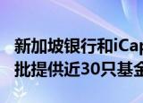 新加坡银行和iCapital推出另类投资平台，首批提供近30只基金