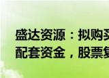 盛达资源：拟购买鸿林矿业47%股权并募集配套资金，股票复牌