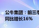 公牛集团：前三季度归母净利润32.63亿元，同比增长16%