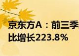 京东方A：前三季度归母净利润33.1亿元，同比增长223.8%