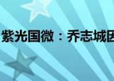 紫光国微：乔志城因个人原因辞去副总裁职务